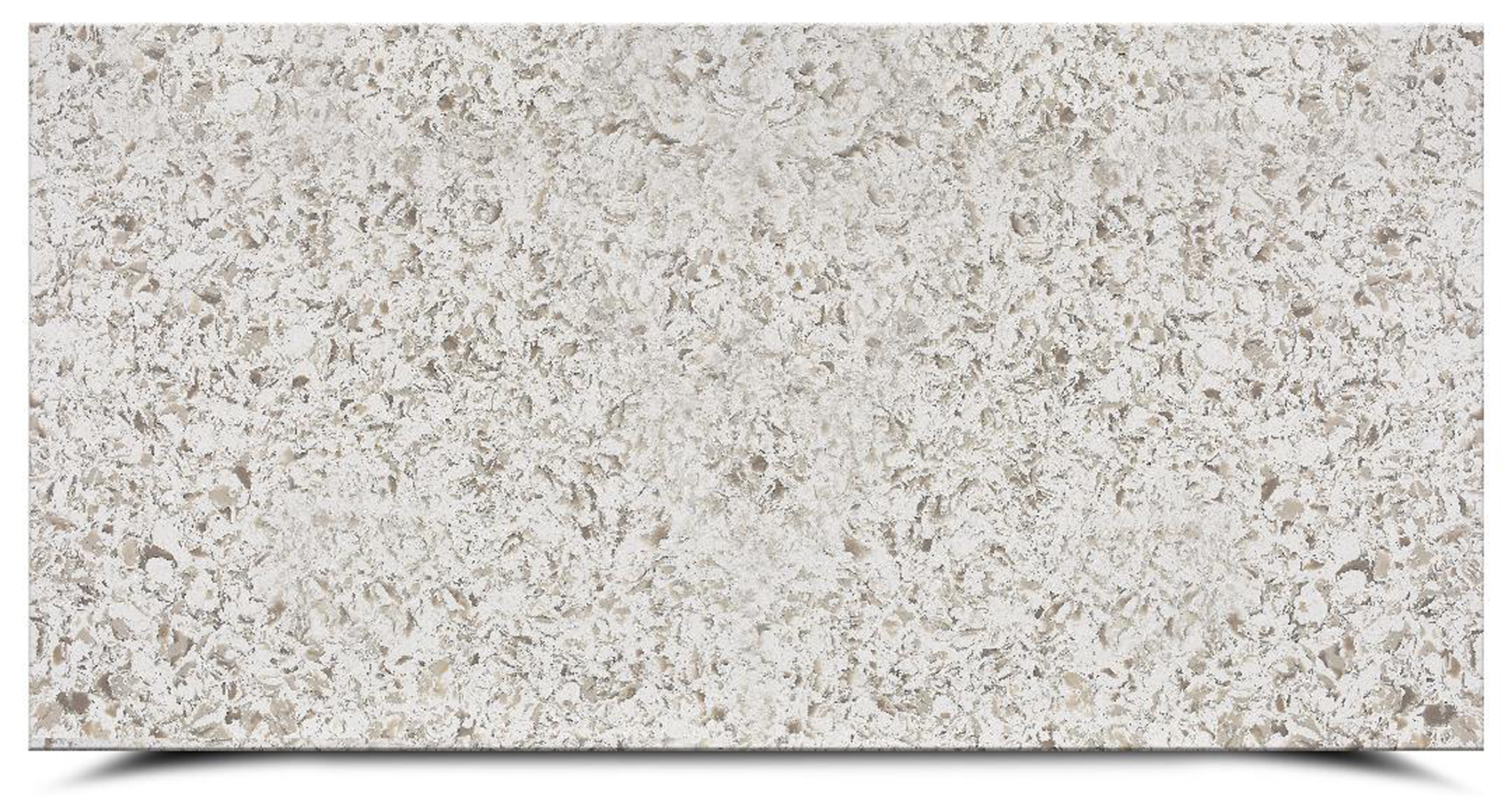 Oyster Surface
