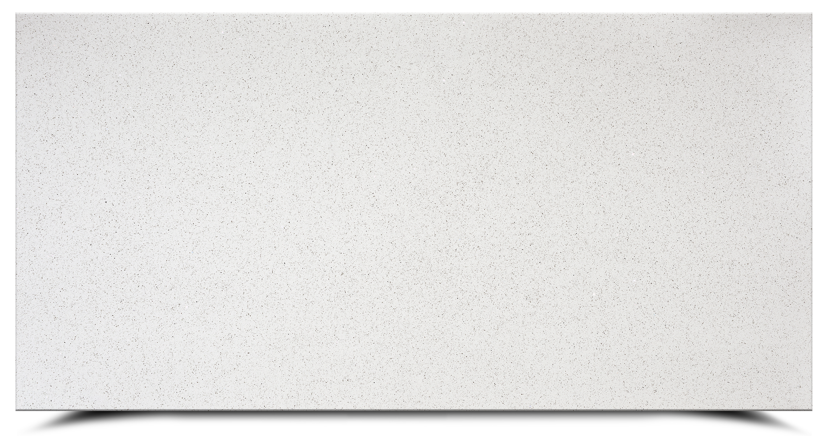 Regina Surface